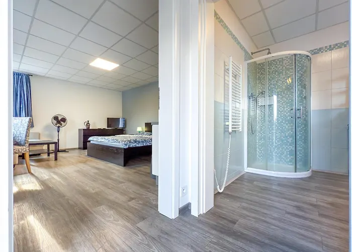 Dks Apart-hotel Chomutov